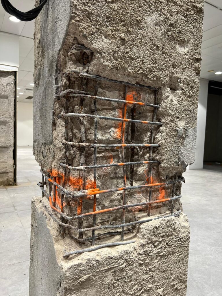 10.WhatsApp Image 2024-11-03 at 21.47.43 (3)