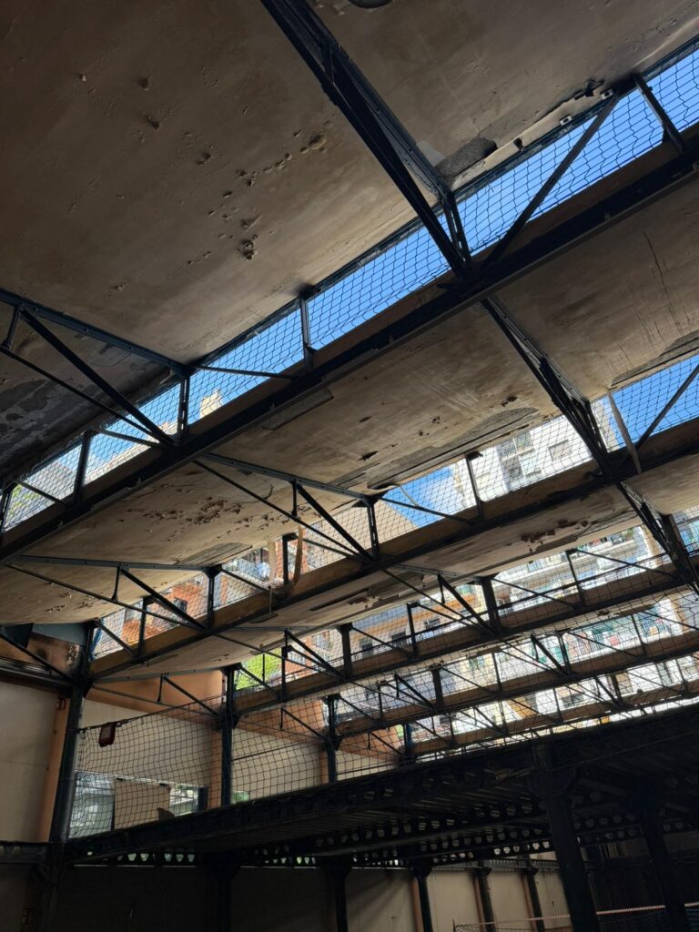 6. IMG-20251021-WA0003